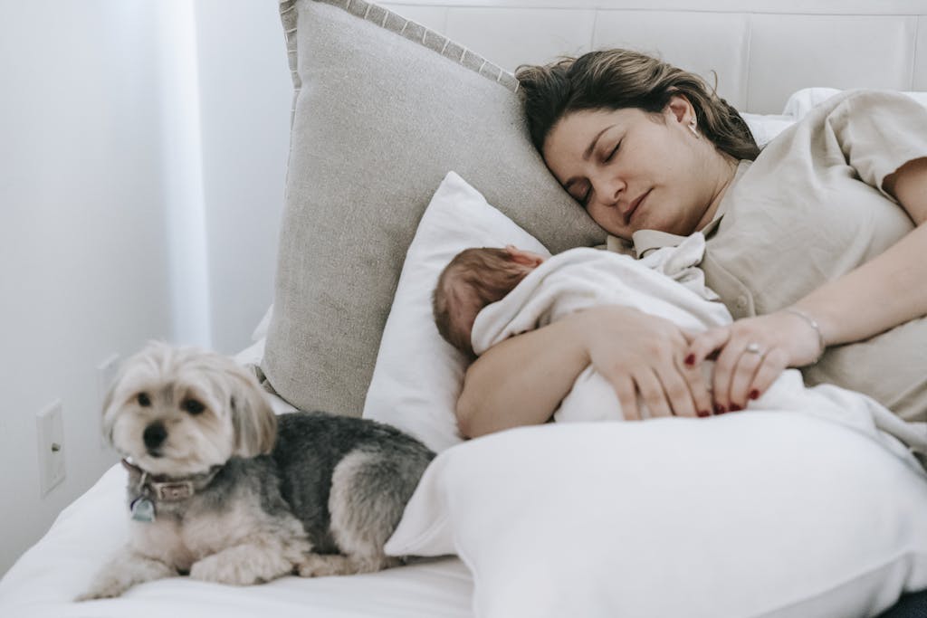 Caring mother with cute newborn baby sleeping peacefully on comfortable bed near adorable hairy morkie in light bedroom at home