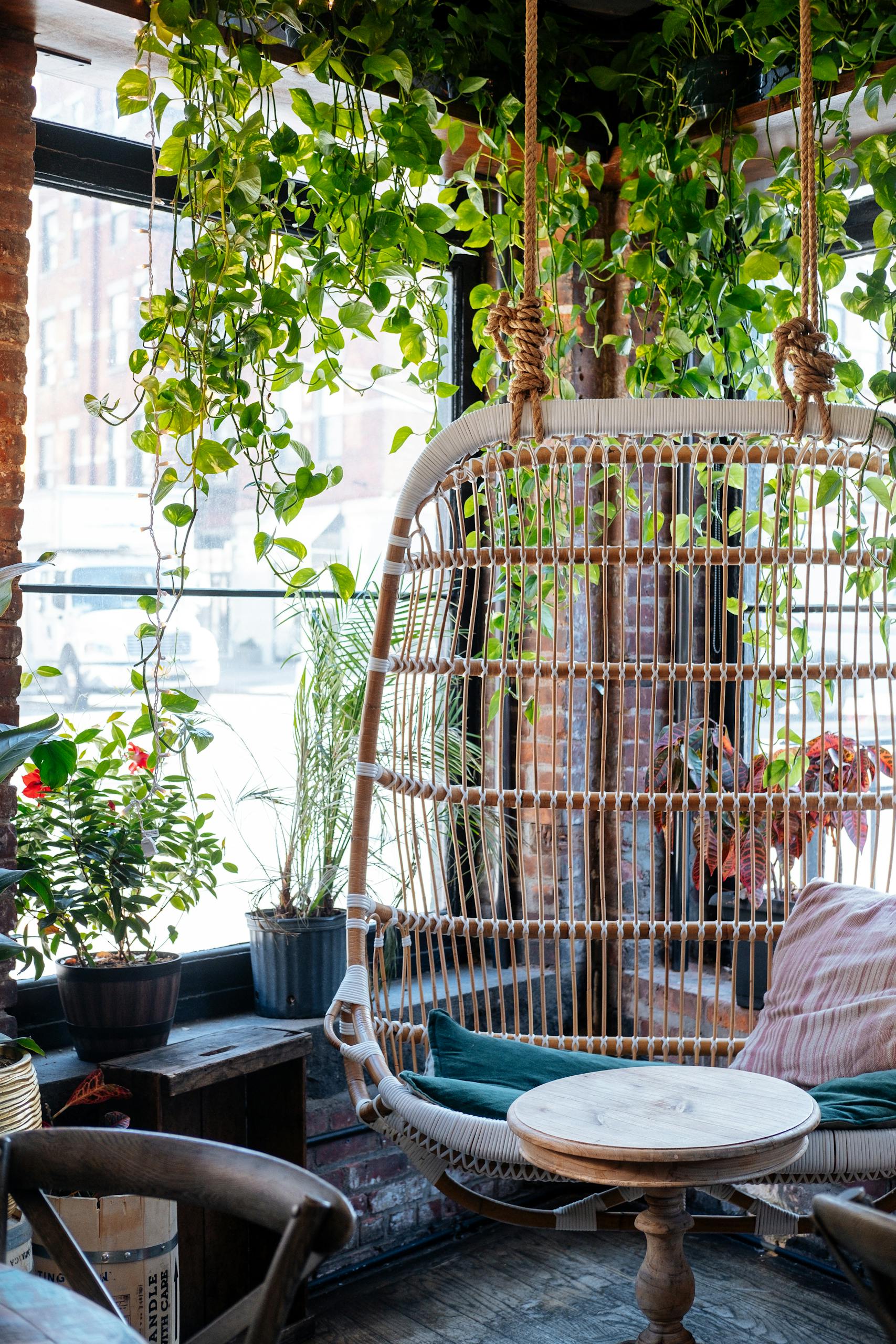 Inviting indoor space with a vintage hanging chair surrounded by lush plants.