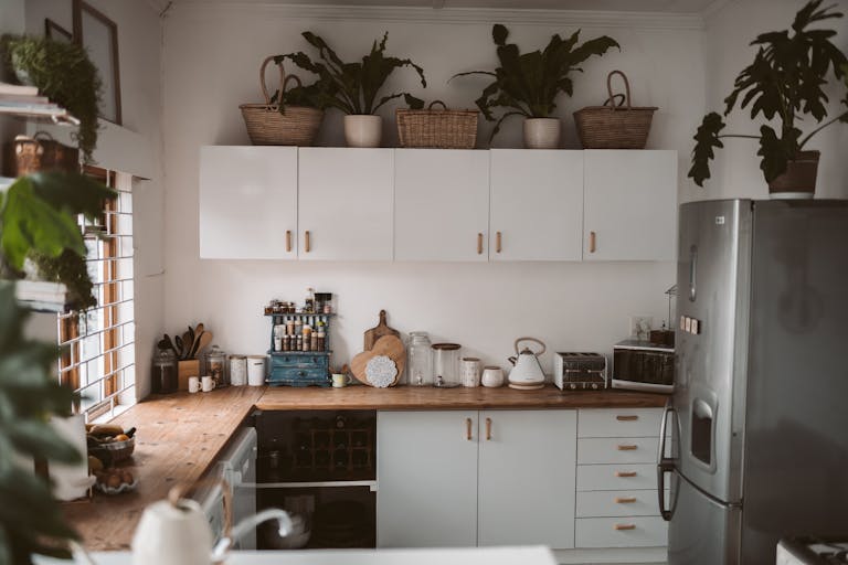 Stylish kitchen interior featuring cabinets, appliances, and indoor plants for a cozy home feel.